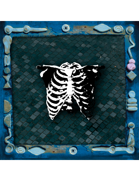 ORGANY TEES