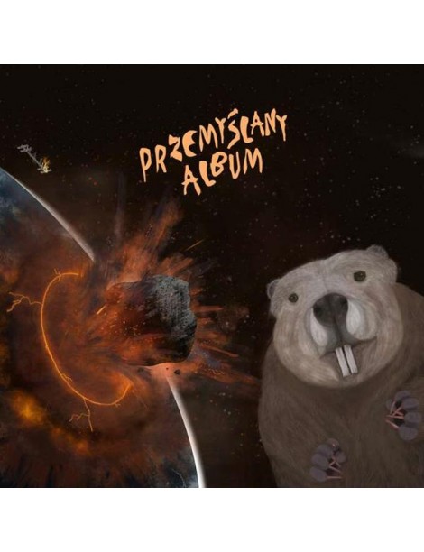 Przemyślany Album