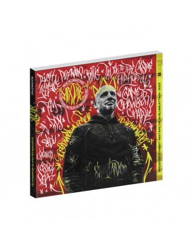 NAS LP＆12inc 15枚set HIPHOP Hip - Hop - Muzyka - Allegro.pl